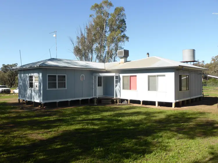 Fifth view of Homely rural property listing, 1125 Murrumbidgee River Road, Hay NSW 2711