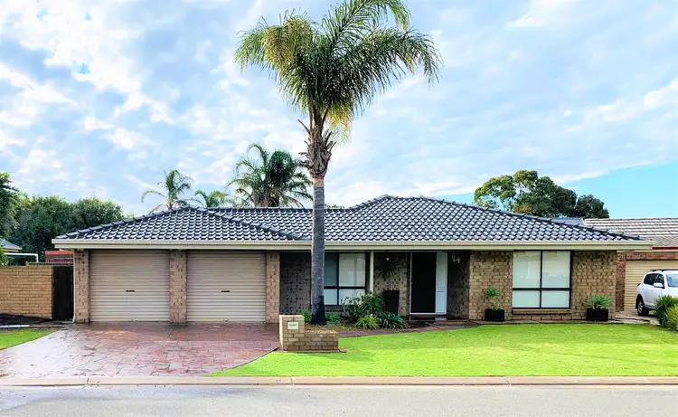 Second view of Homely house listing, 19 Georgia Avenue, Grange SA 5022