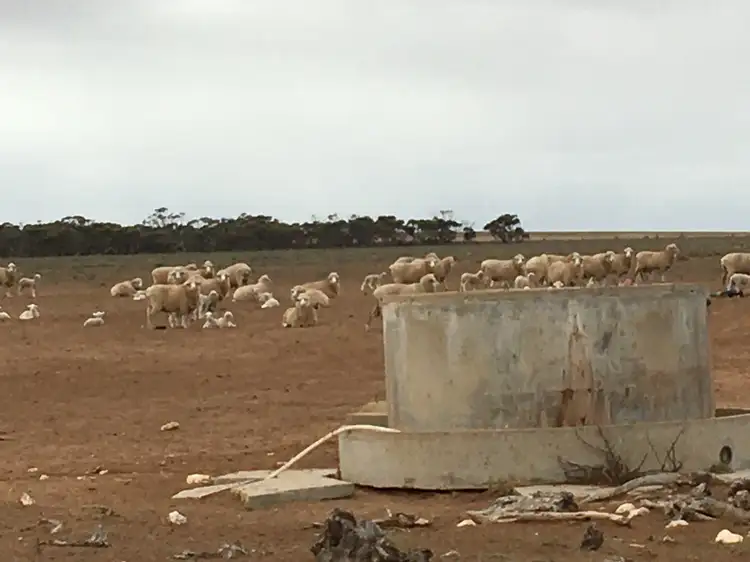 Main view of Homely rural property listing, Section 27, Hundred of Bonython, Ceduna SA 5690