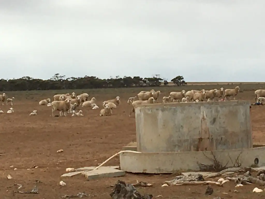 Main view of Homely rural property listing, Section 27, Hundred of Bonython, Ceduna SA 5690