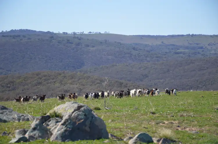 Lot 166 Part 'Posey Hill', Posey Hill Road, Mudgee NSW 2850