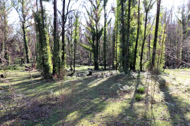 Second view of Homely land listing, 193 OLD COMBIENBAR ROAD, Club Terrace VIC 3889