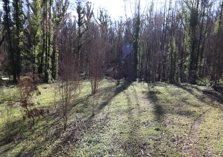 Fifth view of Homely land listing, 193 OLD COMBIENBAR ROAD, Club Terrace VIC 3889