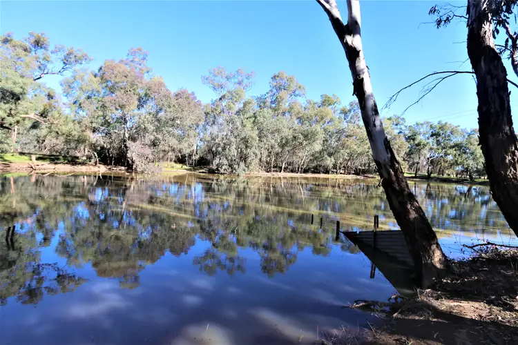 Main view of Homely rural property listing, 267 Bena Road, Ungarie NSW 2669