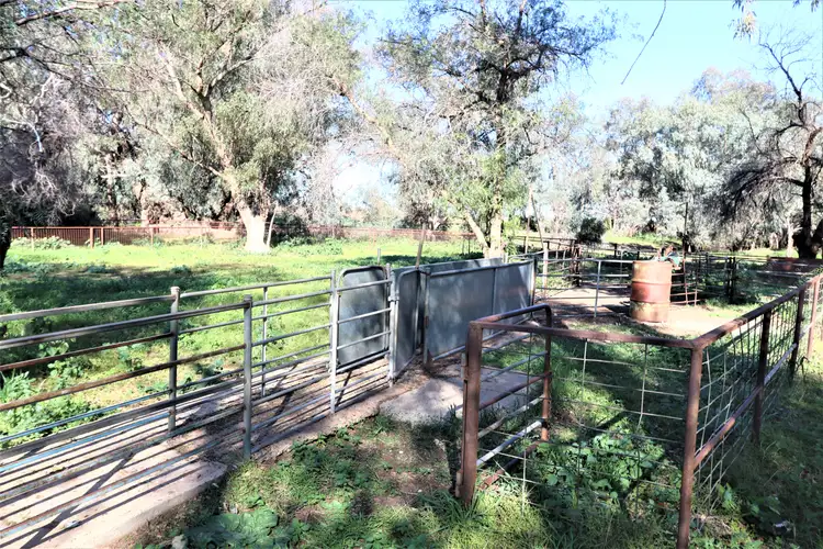 Third view of Homely rural property listing, 267 Bena Road, Ungarie NSW 2669