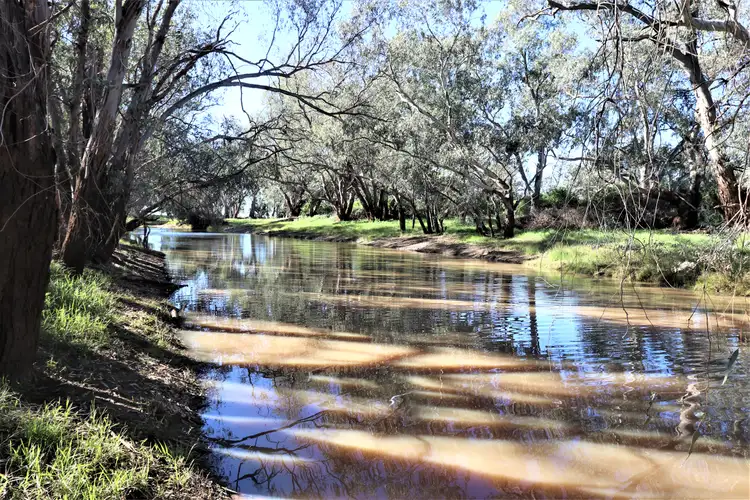 Fourth view of Homely rural property listing, 267 Bena Road, Ungarie NSW 2669