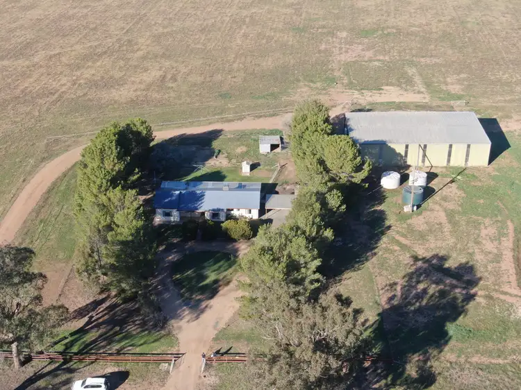 Main view of Homely rural property listing, 'Bonnie Doo' 2686 Mary Gilmore Way, Temora NSW 2666