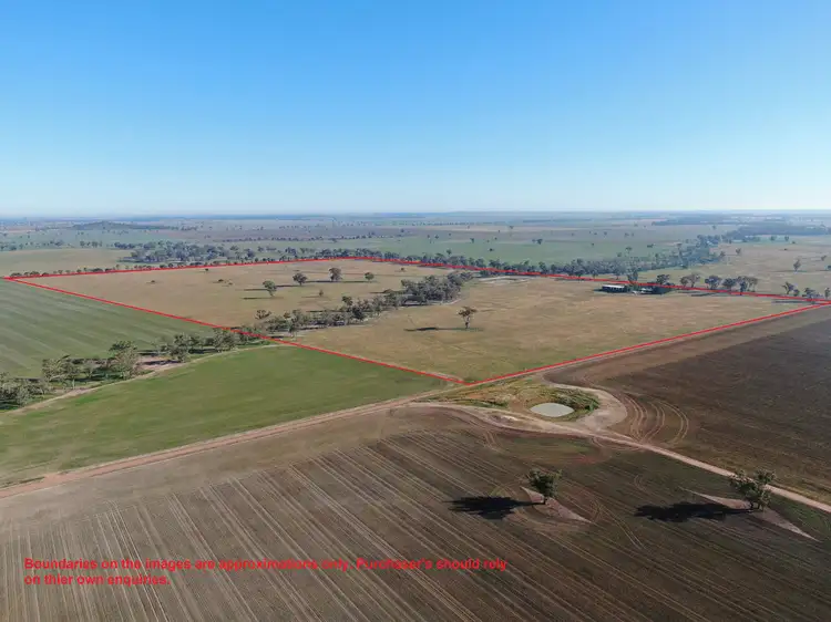 Fourth view of Homely rural property listing, 'Bonnie Doo' 2686 Mary Gilmore Way, Temora NSW 2666