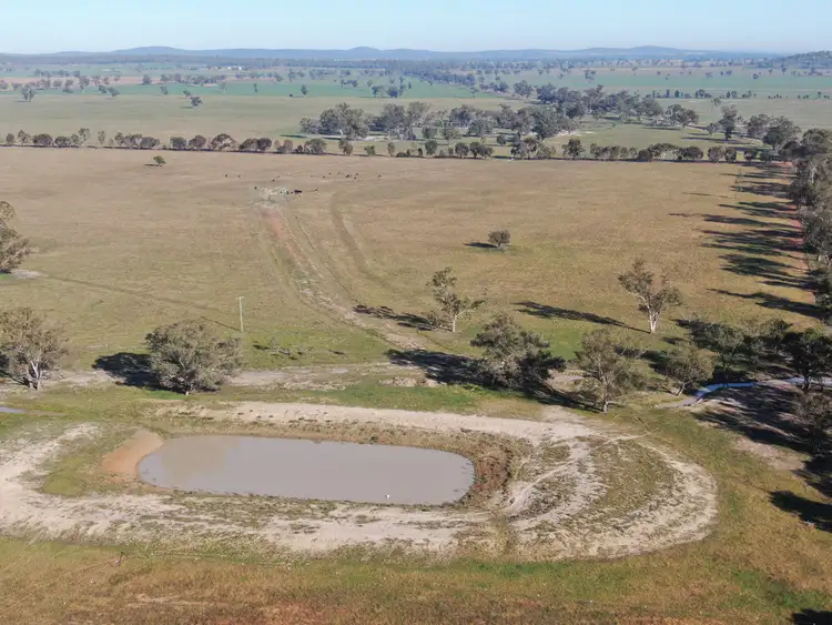 Fifth view of Homely rural property listing, 'Bonnie Doo' 2686 Mary Gilmore Way, Temora NSW 2666