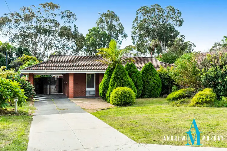 18 Pascoe Street, Karrinyup WA 6018