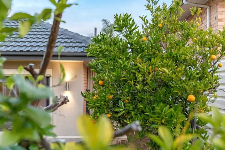 Second view of Homely house listing, 8 Amanda Way, Reynella SA 5161