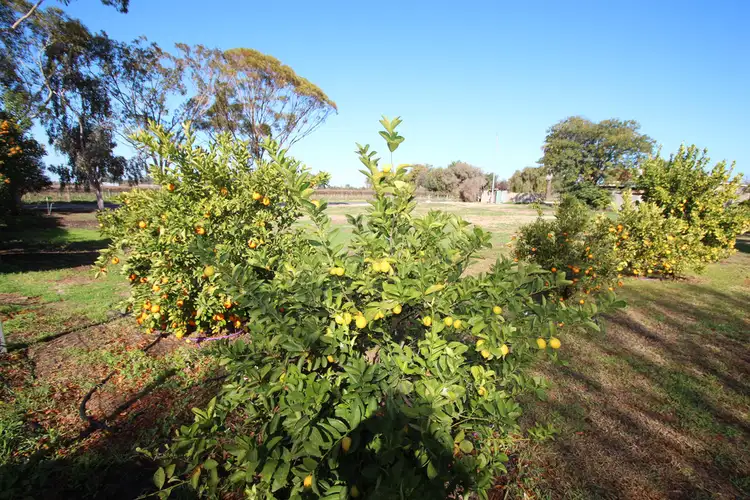 Fifth view of Homely land listing, 142 Pyap Street, Renmark SA 5341