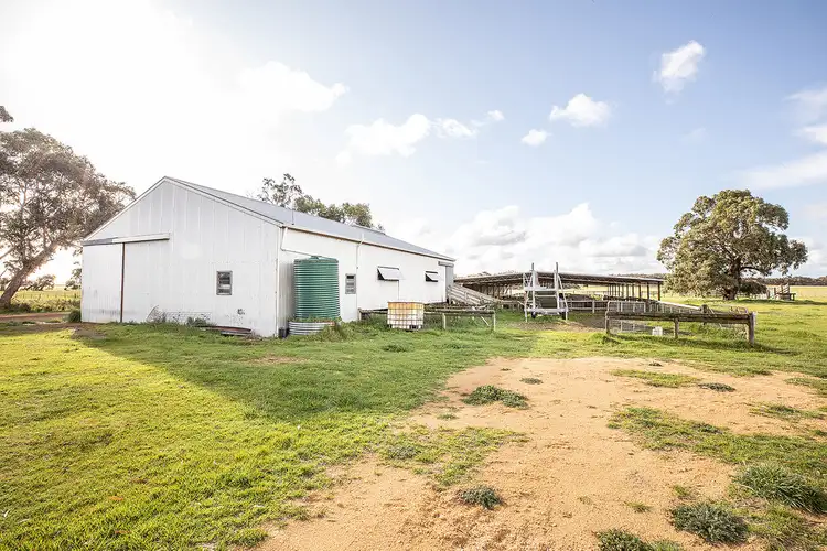 Fourth view of Homely rural property listing, 503 Cluain Lane, Lucindale SA 5272
