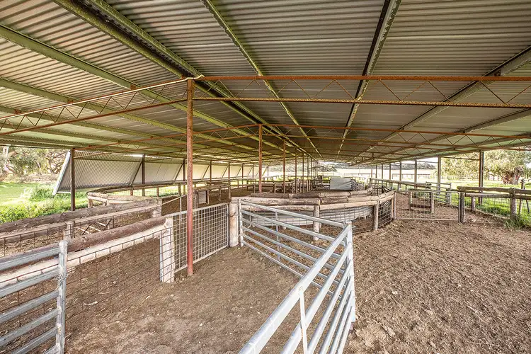 Fifth view of Homely rural property listing, 503 Cluain Lane, Lucindale SA 5272