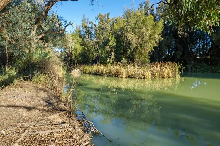 Second view of Homely house listing, 15B Meander Avenue, Renmark SA 5341