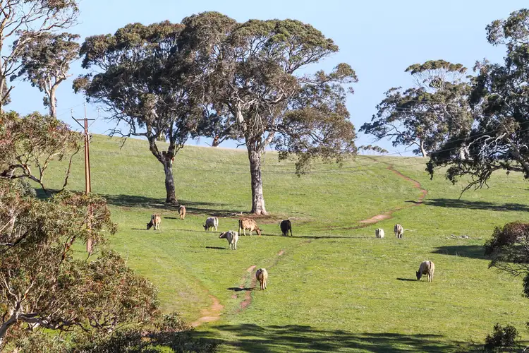 Second view of Homely rural property listing, Lot 193 Victor Harbor Road, Hindmarsh Valley SA 5211