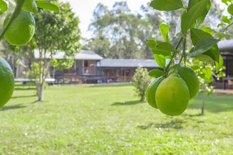 797 Ringtail Creek Road, Pomona QLD 4568