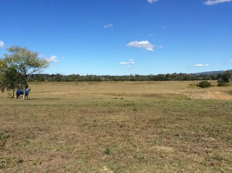 Fifth view of Homely rural property listing, 360 Bellmere Road, Bellmere QLD 4510