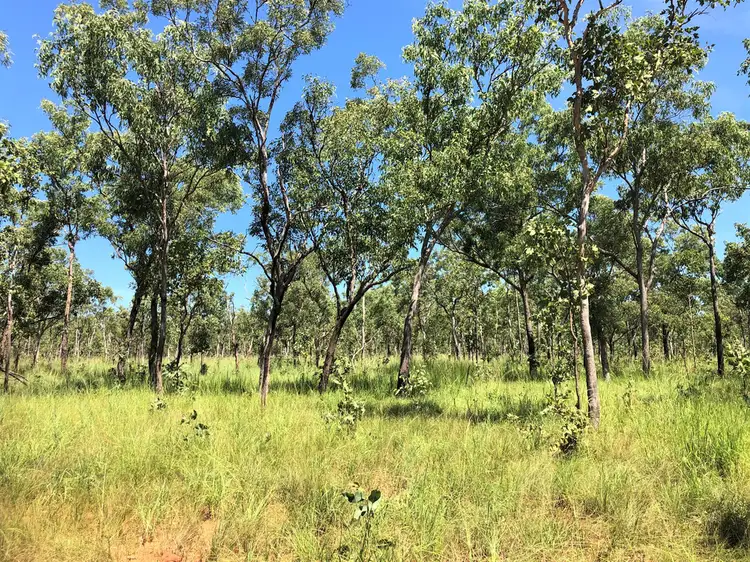 Third view of Homely rural property listing, 200 Dorisvale Rd, Katherine NT 850