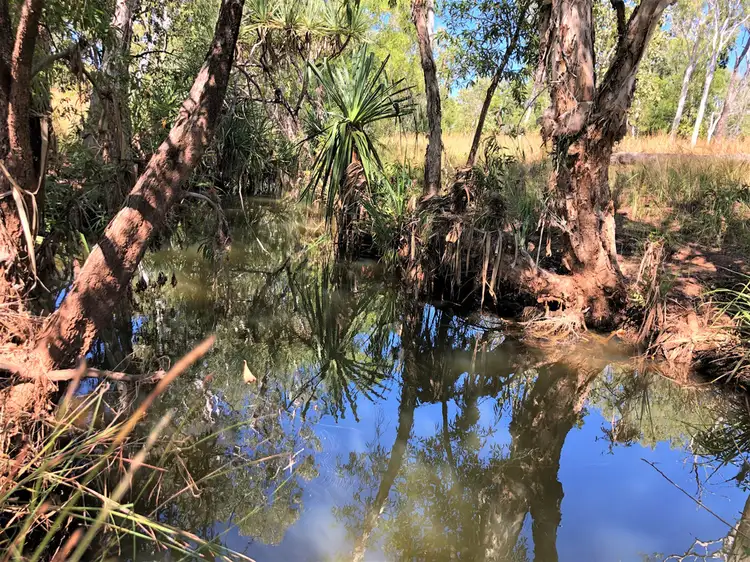 Fourth view of Homely rural property listing, 200 Dorisvale Rd, Katherine NT 850