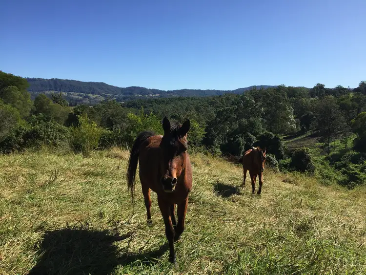 Seventh view of Homely rural property listing, 69/265 Martin Rd, Larnook NSW 2480