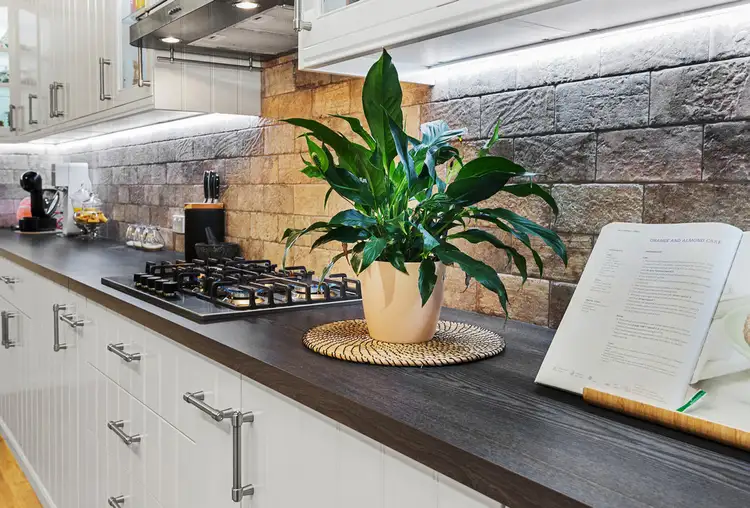 Sixth view of Homely house listing, 19 Turnstone Circuit, North Lakes QLD 4509