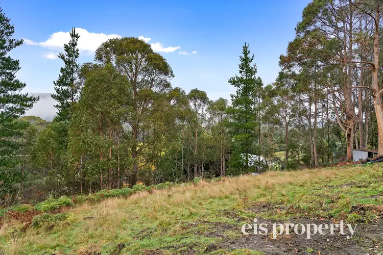 10 Daytons Drive, Ranelagh TAS 7109