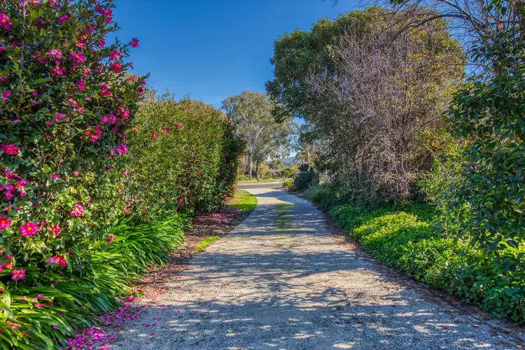 Second view of Homely house listing, 80 Cardo Drive, Springdale Heights NSW 2641