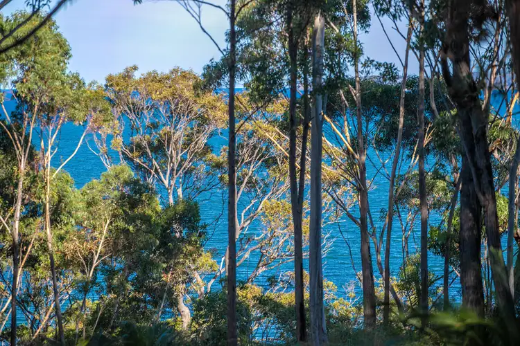 Seventh view of Homely land listing, 135 NORTHCOVE ROAD, Long Beach NSW 2536