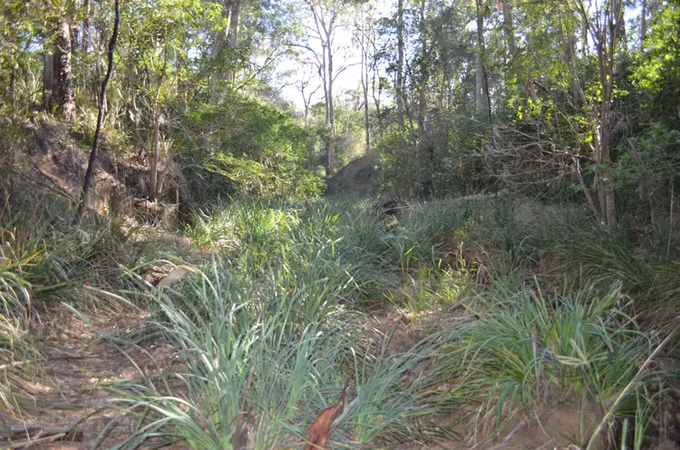 Second view of Homely land listing, 0 Evans Road West, Kleinton QLD 4352
