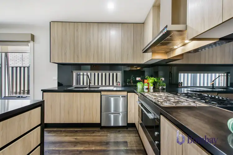 Fifth view of Homely house listing, 3 Banjolina Circuit, Craigieburn VIC 3064