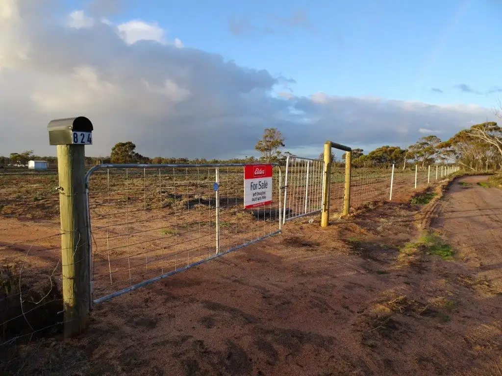 Main view of Homely rural property listing, 824 Richards Street, Wagin WA 6315