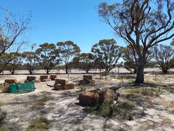 Third view of Homely rural property listing, 824 Richards Street, Wagin WA 6315