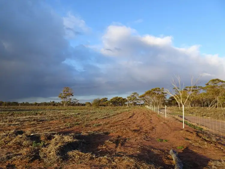 Fourth view of Homely rural property listing, 824 Richards Street, Wagin WA 6315