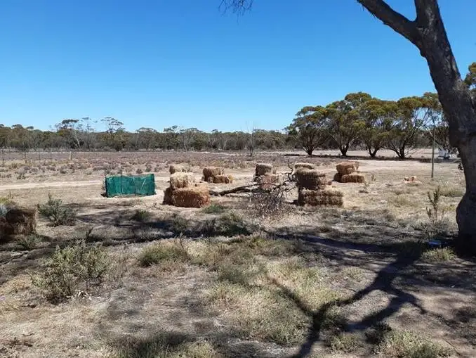 Fifth view of Homely rural property listing, 824 Richards Street, Wagin WA 6315