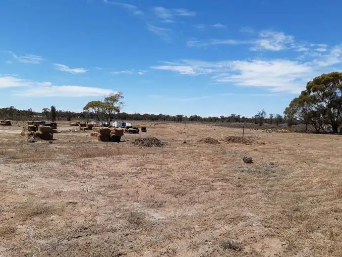 Seventh view of Homely rural property listing, 824 Richards Street, Wagin WA 6315
