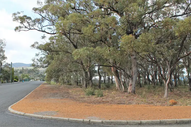 Fourth view of Homely land listing, 46 Marion Street, Mount Barker WA 6324