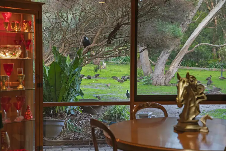 Sixth view of Homely house listing, 1451A Dandenong-Hastings Road, Langwarrin VIC 3910