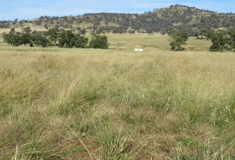 Fifth view of Homely rural property listing, Wattledale 877 Swinging Ridges Road, Warrah Creek NSW 2339