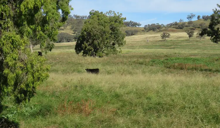 Sixth view of Homely rural property listing, Wattledale 877 Swinging Ridges Road, Warrah Creek NSW 2339