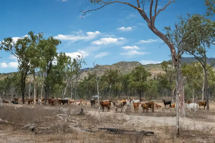 Second view of Homely rural property listing, Lot 3 - 963 ROWE ROAD, Woodstock QLD 4816