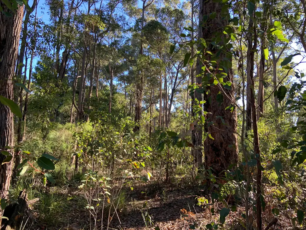 Main view of Homely land listing, Lot 18 KARRI LANE, Quinninup WA 6258