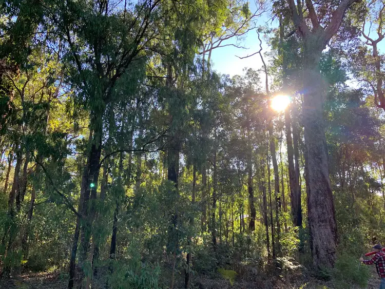 Third view of Homely land listing, Lot 18 KARRI LANE, Quinninup WA 6258