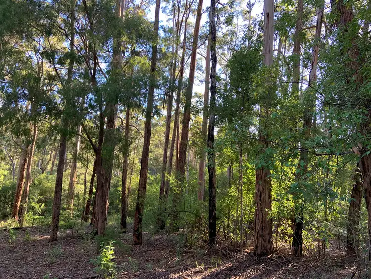 Third view of Homely land listing, Lot 85 KARRI LANE, Quinninup WA 6258