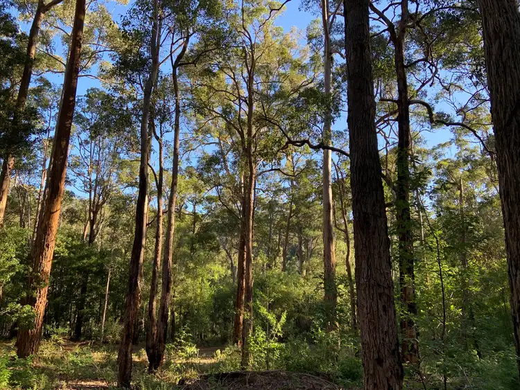 Fifth view of Homely land listing, Lot 85 KARRI LANE, Quinninup WA 6258