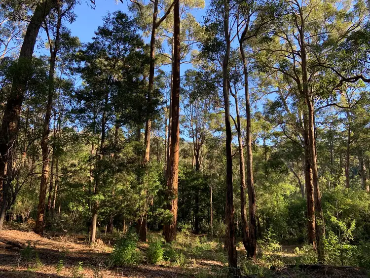 Sixth view of Homely land listing, Lot 85 KARRI LANE, Quinninup WA 6258