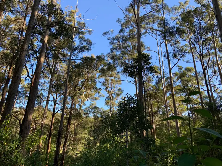 Seventh view of Homely land listing, Lot 85 KARRI LANE, Quinninup WA 6258