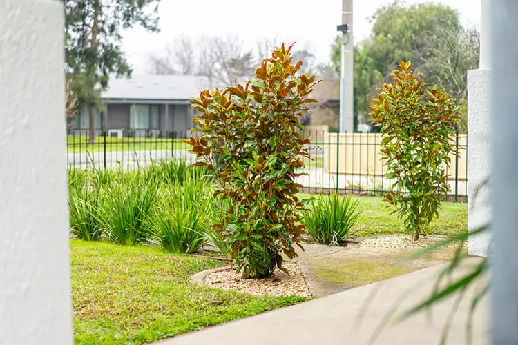 Sixth view of Homely house listing, 42 Shamrock St, Alexandra VIC 3714