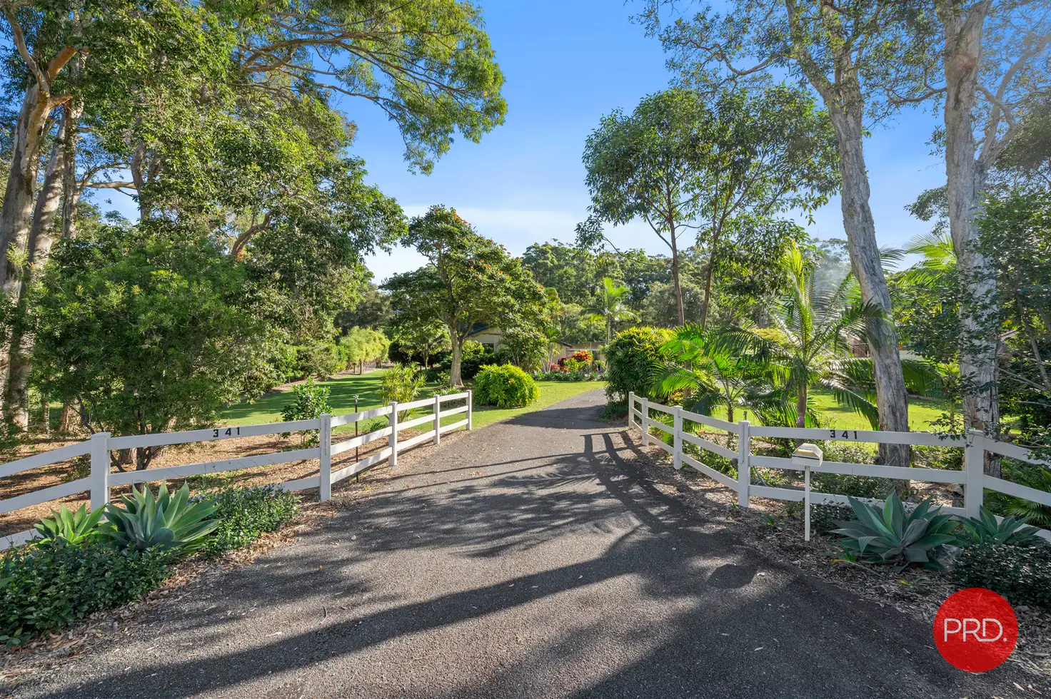 Main view of Homely house listing, 341 Solitary Islands Way, Sapphire Beach NSW 2450