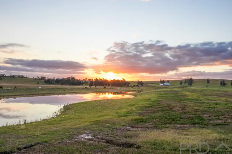 32 Pyrus Avenue, Branxton NSW 2335